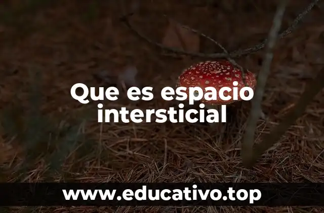 Que es espacio intersticial