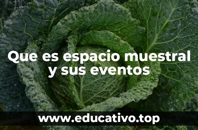 Que es espacio muestral y sus eventos