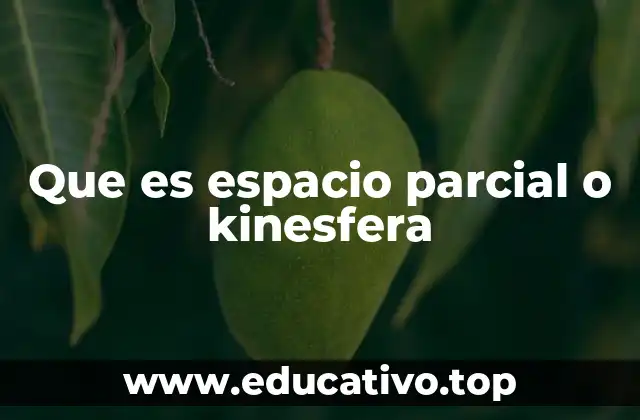 Que es espacio parcial o kinesfera