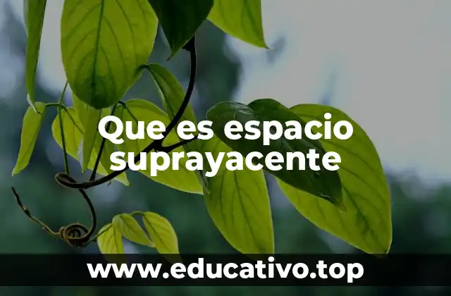 Que es espacio suprayacente