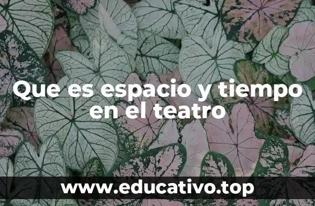 Que es espacio y tiempo en el teatro