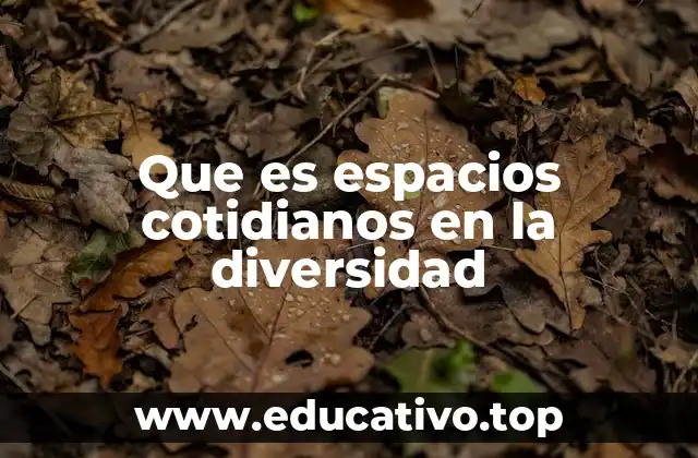 Que es espacios cotidianos en la diversidad