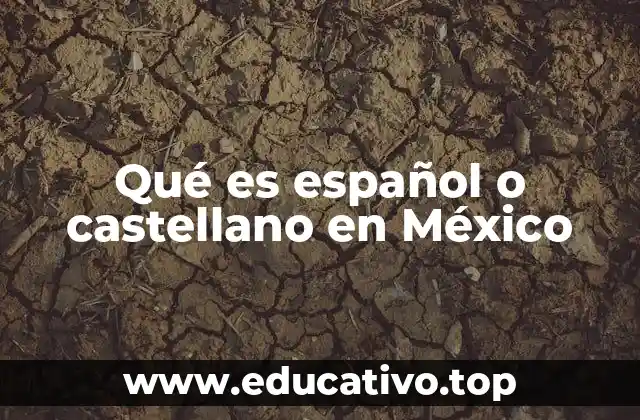Qué es español o castellano en México