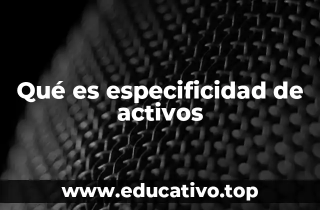 Qué es especificidad de activos