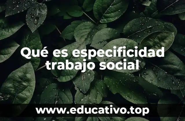 Qué es especificidad trabajo social