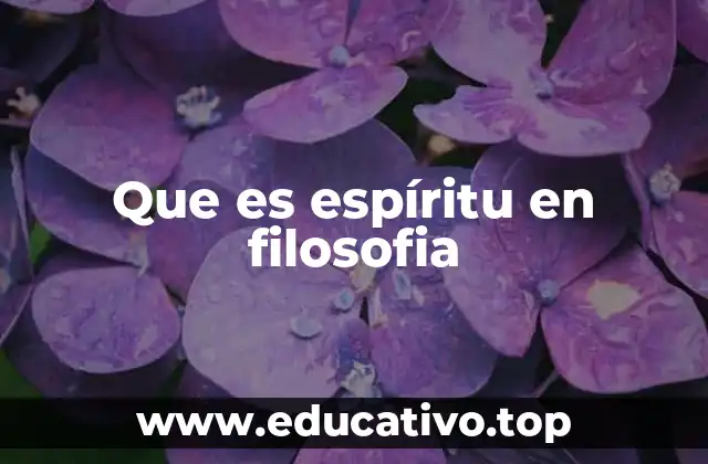 Que es espíritu en filosofia