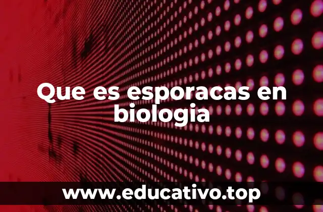 Que es esporacas en biologia
