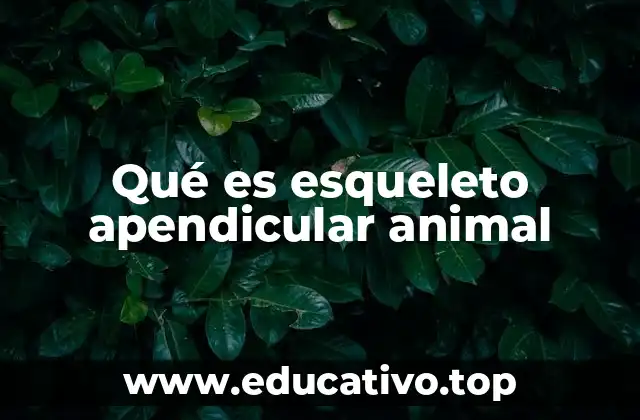 Qué es esqueleto apendicular animal