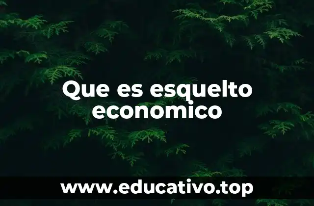 Que es esquelto economico