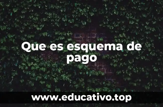 Que es esquema de pago