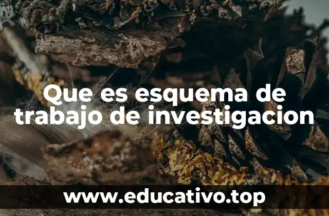 Que es esquema de trabajo de investigacion