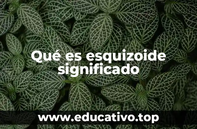 Qué es esquizoide significado