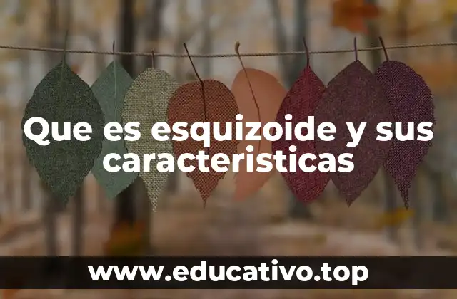 Que es esquizoide y sus caracteristicas