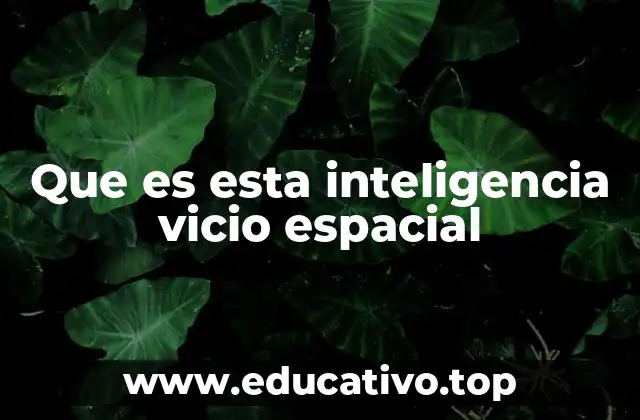 Que es esta inteligencia vicio espacial
