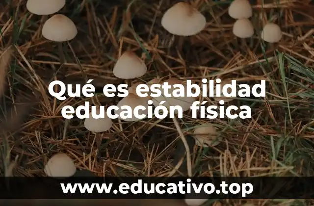 Qué es estabilidad educación física