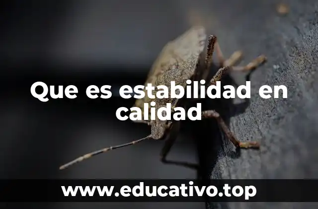Que es estabilidad en calidad