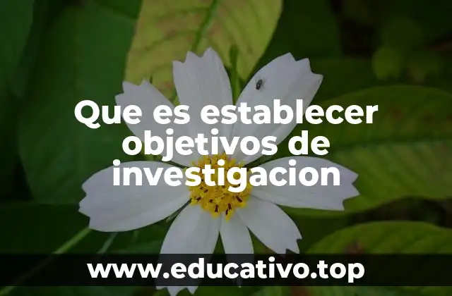 Que es establecer objetivos de investigacion