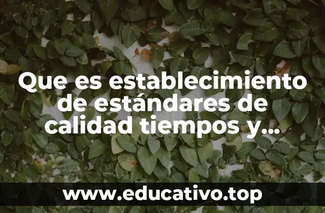 Que es establecimiento de estándares de calidad tiempos y características