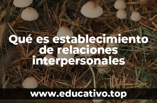 Qué es establecimiento de relaciones interpersonales