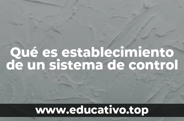 Qué es establecimiento de un sistema de control