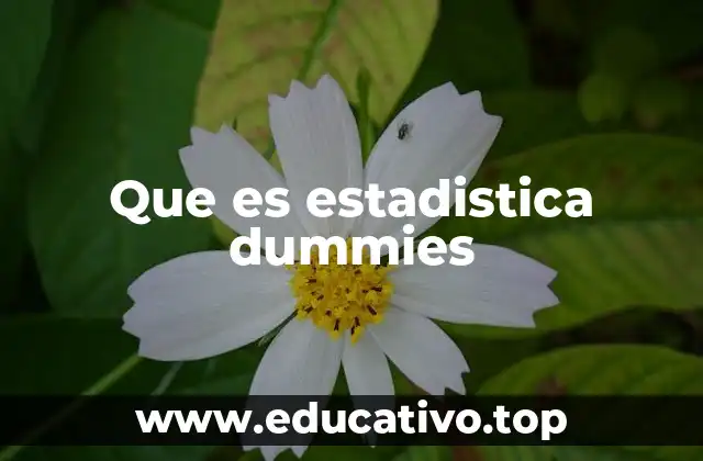 Que es estadistica dummies