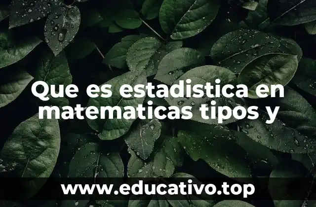 Que es estadistica en matematicas tipos y