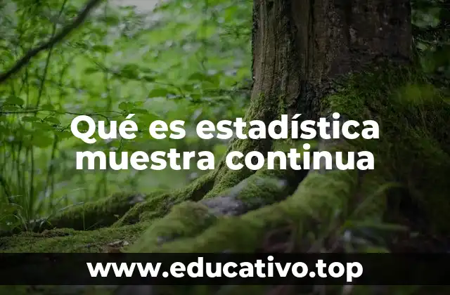 Qué es estadística muestra continua