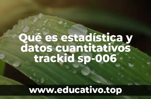Qué es estadística y datos cuantitativos trackid sp-006