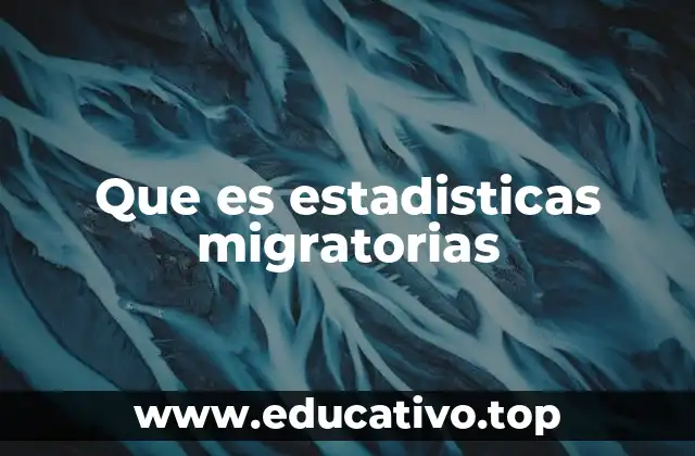 Que es estadisticas migratorias