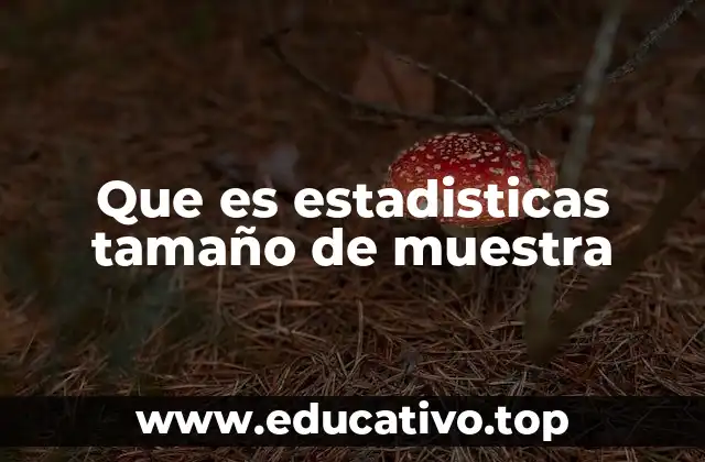 Que es estadisticas tamaño de muestra