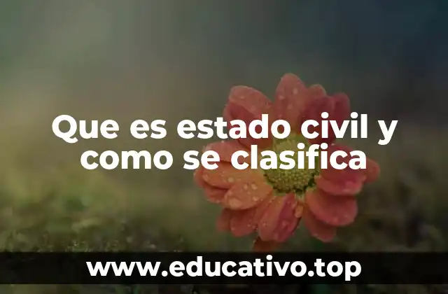 Que es estado civil y como se clasifica
