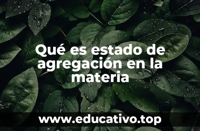 Diferencias entre los estados de agregación