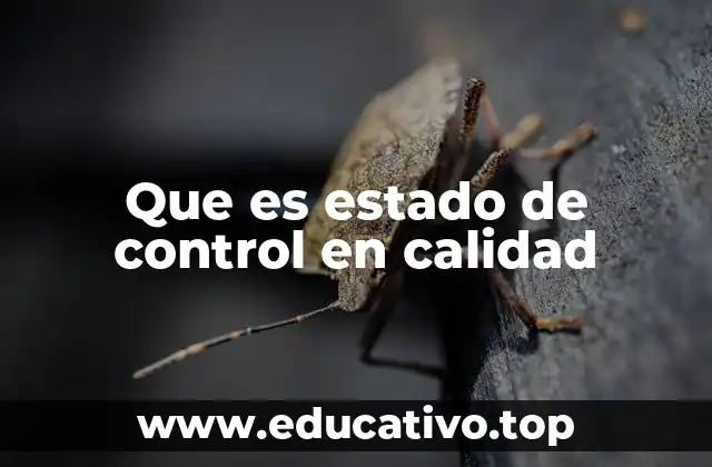 La importancia del estado de control en la gestión de procesos