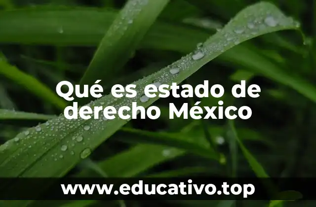 Qué es estado de derecho México