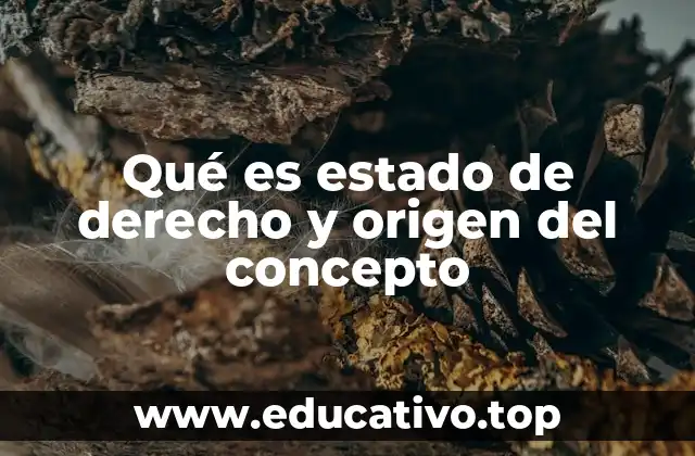Qué es estado de derecho y origen del concepto