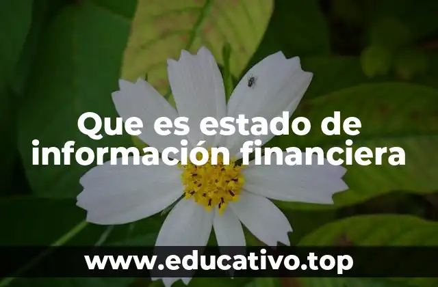 Que es estado de información financiera