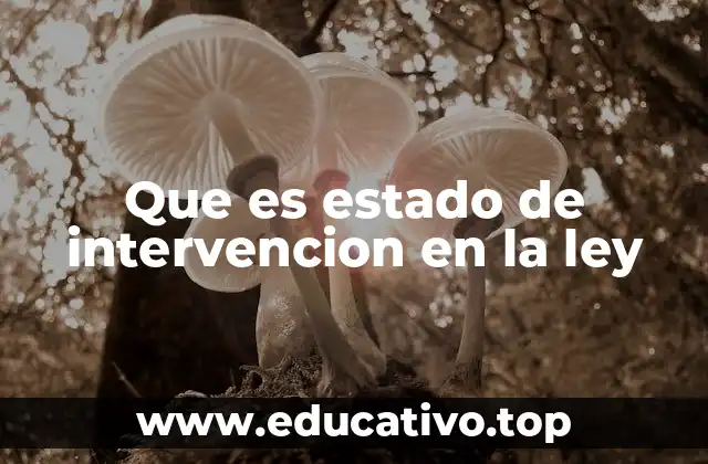 Que es estado de intervencion en la ley