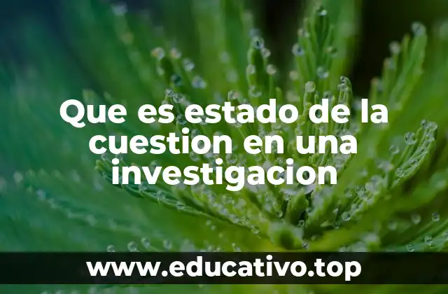 Que es estado de la cuestion en una investigacion