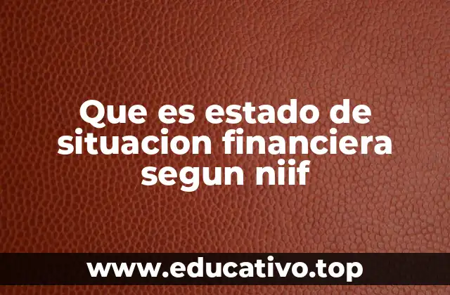 Que es estado de situacion financiera segun niif