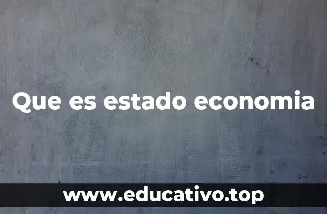 Que es estado economia