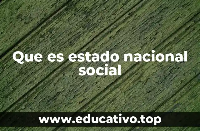 Que es estado nacional social