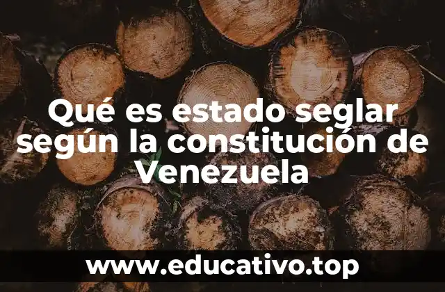 Qué es estado seglar según la constitución de Venezuela