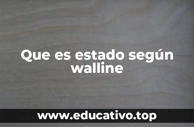 El estado como organización política central en la sociedad moderna