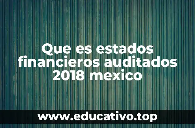 Que es estados financieros auditados 2018 mexico