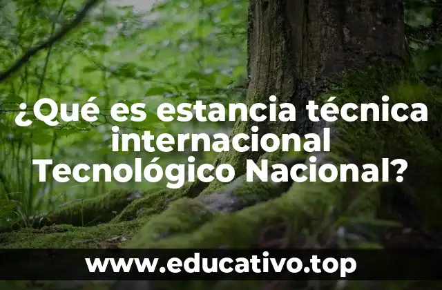 ¿Qué es estancia técnica internacional Tecnológico Nacional?
