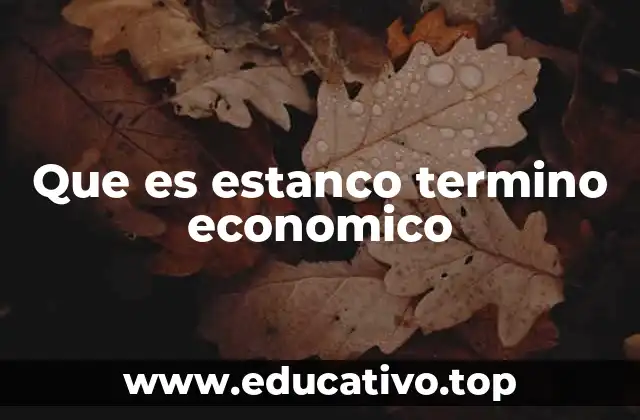 Que es estanco termino economico