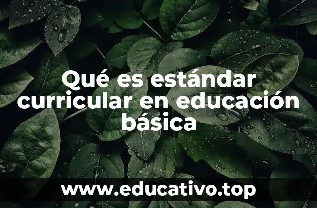 Qué es estándar curricular en educación básica