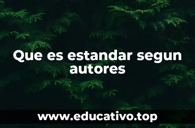 Que es estandar segun autores