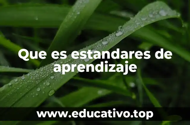 Que es estandares de aprendizaje