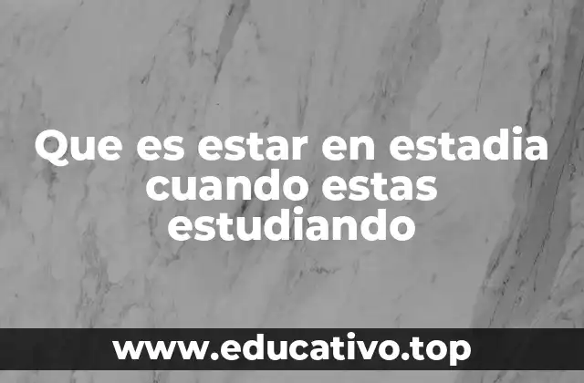 Que es estar en estadia cuando estas estudiando